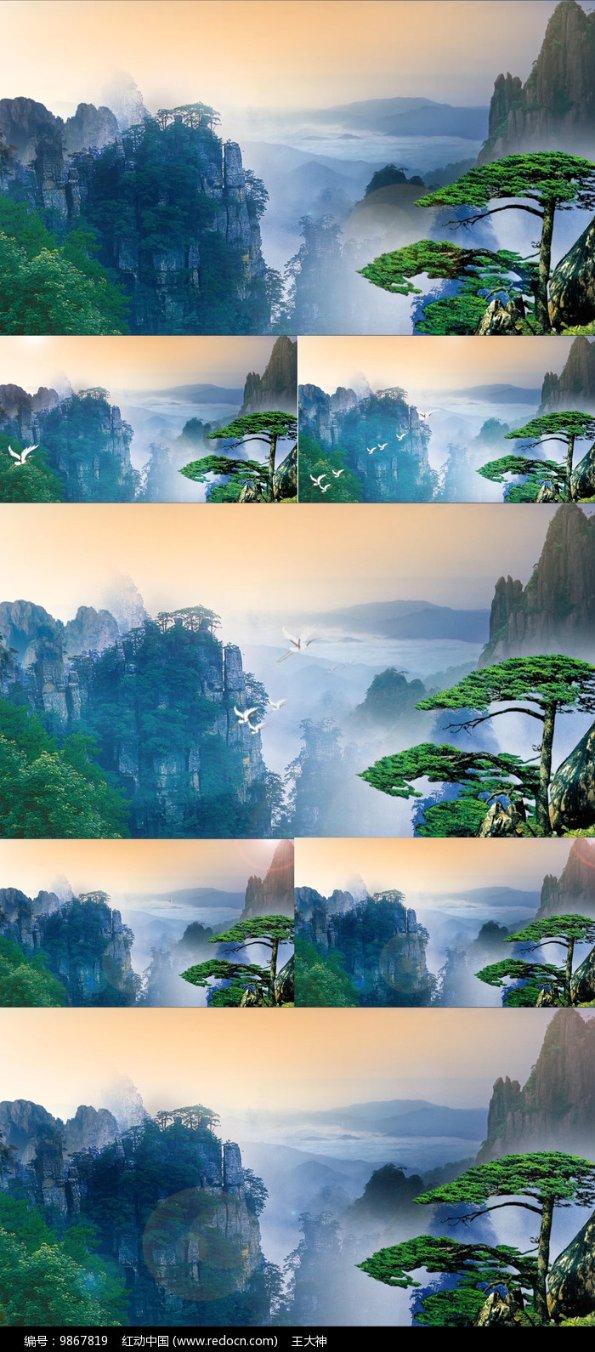 逃离棕榈树森林